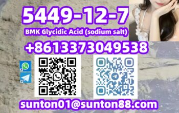 5449-12-7 BMK Glycidic Acid (sodium s