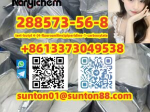 288573-56-8 tert-butyl 4-(4-fluoroanilino)piperidi