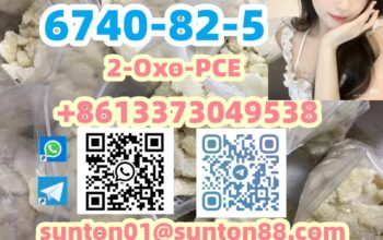 6740-82-5 2-Oxo-PCE