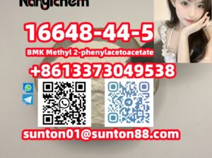 16648-44-5 BMK Methyl 2-phenylacetoacetate