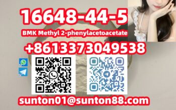 16648-44-5 BMK Methyl 2-phenylacetoacetate