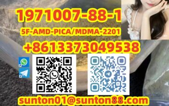 1971007-88-1 5F-AMD-PICA/MDMA-2201