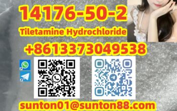 14176-50-2 Tiletamine Hydrochloride