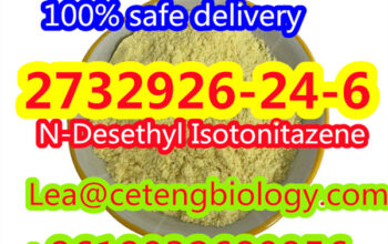 high quality CAS:2732926-24-6 N-Desethyl Isoto