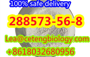 hot sale CAS:288573-56-8 100% safe delivery