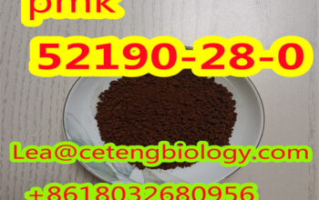 hot sale CAS:52190-28-0 PMK free samples