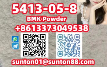 5413-05-8 BMK Powder