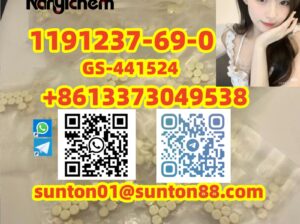 1191237-69-0 GS-441524