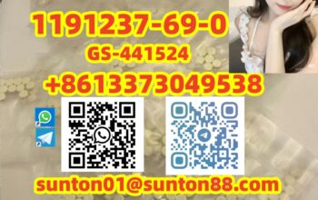 1191237-69-0 GS-441524
