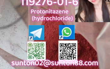 119276-01-6 Protonitazene (hydrochloride)