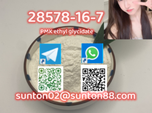 28578-16-7 PMK ethyl glycidate