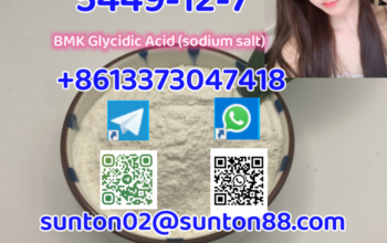 5449-12-7 BMK Glycidic Acid (sodium s