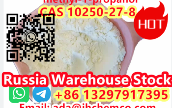 CAS 10250-27-8 2-Benzylamino-2-methyl-1-propanol