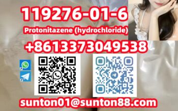119276-01-6 Protonitazene (hydrochloride)