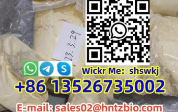 119276-01-6 Protonitazene (hydrochloride)hcl