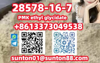 28578-16-7 PMK ethyl glycidate
