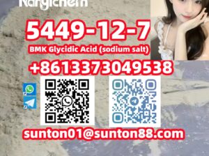 5449-12-7 BMK Glycidic Acid (sodium s