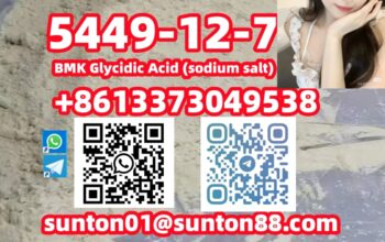 5449-12-7 BMK Glycidic Acid (sodium s