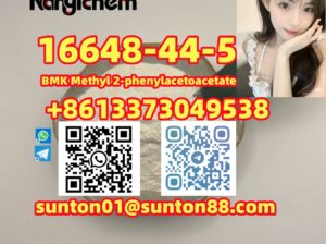 16648-44-5 BMK Methyl 2-phenylacetoacetate