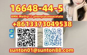 16648-44-5 BMK Methyl 2-phenylacetoacetate