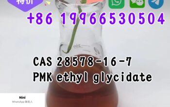 Top Quality High Purity28578-16-7/BMK Powder 54