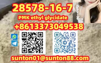 28578-16-7 PMK ethyl glycidate