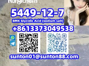 5449-12-7 BMK Glycidic Acid (sodium s