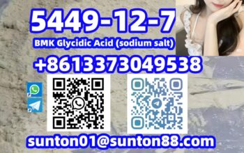 5449-12-7 BMK Glycidic Acid (sodium s