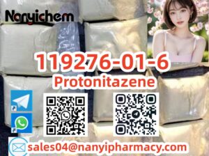 119276-01-6 Protonitazene (hydrochloride)
