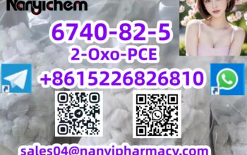 6740-82-5 2-Oxo-PCE