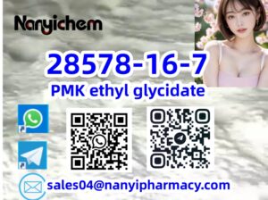 28578-16-7 PMK ethyl glycidate