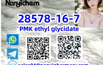 28578-16-7 PMK ethyl glycidate