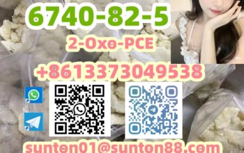 6740-82-5 2-Oxo-PCE