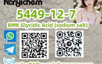5449-12-7 BMK Glycidic Acid (sodium salt)