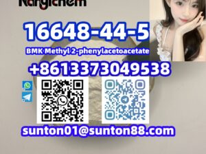 16648-44-5 BMK Methyl 2-phenylacetoacetate