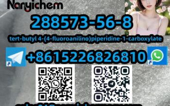 288573-56-8 tert-butyl 4-(4-fluoroanilino)piperidi