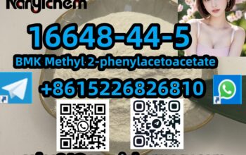 16648-44-5 BMK Methyl 2-phenylacetoacetate