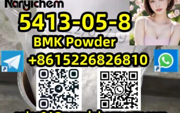 5413-05-8 BMK Powder