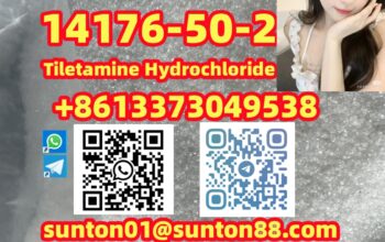 14176-50-2 Tiletamine Hydrochloride