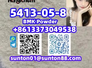5413-05-8 BMK Powder
