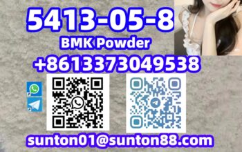 5413-05-8 BMK Powder