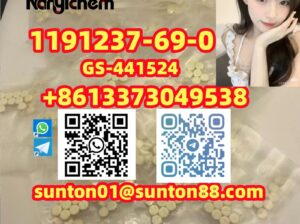 1191237-69-0 GS-441524