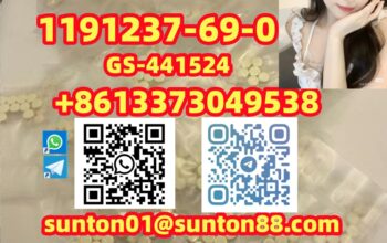 1191237-69-0 GS-441524
