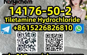 14176-50-2 Tiletamine Hydrochloride