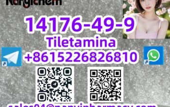 14176-49-9 Tiletamina