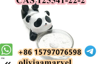 Factory price fast delivery CAS 125541-22-2
