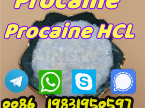 Procaine powder cas 59-46-1,procaine base,p