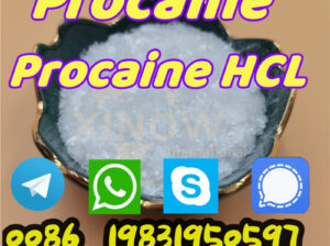 Procaine powder cas 59-46-1,procaine base,