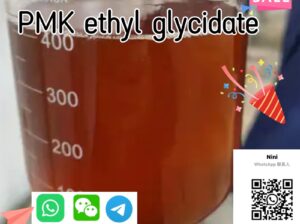 CAS 28578-16-7 PMKChemicals Supply Door to Door