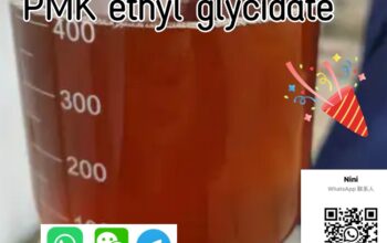 CAS 28578-16-7 PMKChemicals Supply Door to Door